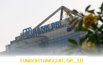 BRI Targetkan Pertumbuhan Satu Digit pada 2026, Ini Rencana Strateginya
