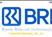 BRI Terbitkan Obligasi Senilai Rp5 Triliun dengan Bunga Maksimal 5,95%