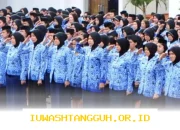 Guru PPPK Paruh Waktu Terkena Imbas Pemangkasan TKD, Gaji Dibagi Dua Klaster dan Tak Capai 1 Juta Rupiah!