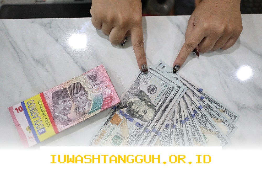 Harga Kurs Dolar AS Terkini di BCA, BRI, Mandiri, dan BNI Hari Ini 24 Februari 2026!