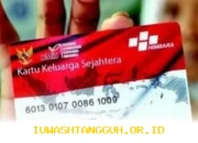 Inilah Penyebab Bansos Cair Dua Kali, Begini Cara Mengecek Validasi Data Penerima di KKS KPM