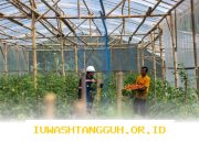 Mengapa Garitan Kalongliud Harus Jadi Inspirasi Pertanian Sirkular Terpadu?