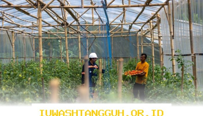 Mengapa Garitan Kalongliud Harus Jadi Inspirasi Pertanian Sirkular Terpadu?