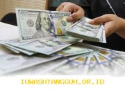 Mengapa Indonesia Harus Membatasi Asuransi AS Simpan Data di Luar Negeri? Ini Dia Untung-Ruginya!