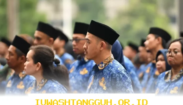 Mengapa Ratusan PPPK Paruh Waktu Masih Tanpa Kontrak Kerja? Ini Penyebabnya!