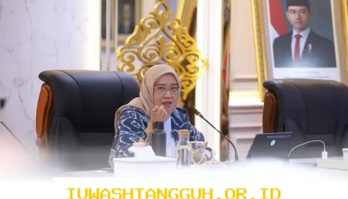MenPAN RB Rini Widyantini Beri Sinyal Kuat Rekrutmen CPNS 2026 untuk Lulusan Baru