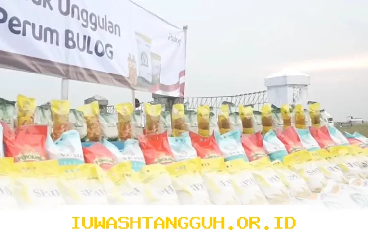 Penerima Bansos BPNT dan BLTS Kesra Siap-Siap Terima Surat Undangan Pencairan 2 Bansos Tambahan!