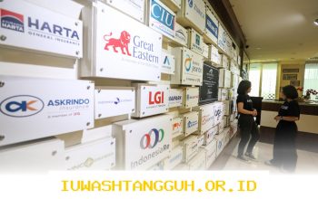 Potensi Dipercepat, AAUI Usul Reasuransi Masuk Penjaminan Polis LPS