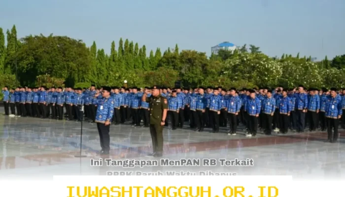 PPPK Paruh Waktu Disebut Bakal Dihapus Mulai Tahun 2026, Begini Tanggapan MenPAN RB