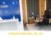 Realisasi Dana SAL di BRI Capai Berbagai Sektor Mulai dari UMKM Hingga Strategis