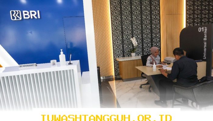 Realisasi Dana SAL di BRI Capai Berbagai Sektor Mulai dari UMKM Hingga Strategis
