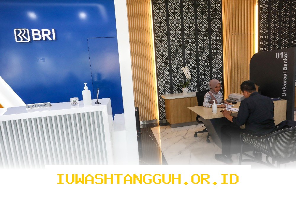Realisasi Dana SAL di BRI Capai Berbagai Sektor Mulai dari UMKM Hingga Strategis