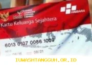 Saldo KKS Mendadak Naik, Bansos Cair di Livin by Mandiri, Periksa Sekarang Jika Ada Dana Tambahan yang Masuk Tanpa Diketahui