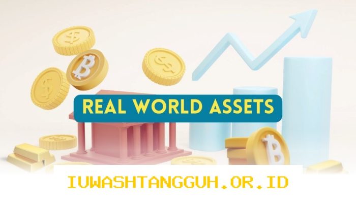 Tokenisasi Aset Tembus USD25 Miliar, Pasar Digital Ini Makin Panas!