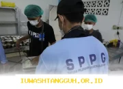VIRAL Dana MBG Akan Ditransfer ke Rekening Orang Tua? Hoaks atau Fakta Ini Penjelasannya