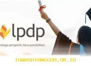Viral di Medsos! Alumni LPDP Terseret Kasus Pengabdian, 8 Orang Sudah Kena Sanksi