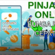 14 Pinjaman Online Bunga Rendah Bayar Bulanan 2026, Resmi OJK dan Cepat Cair!