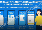 Cara Memunculkan Dana Paylater 2026 Paling Mudah, Aktivasi Dana Cicil Tanpa Jaminan Langsung Cair