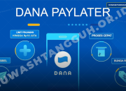 DANA Cicil Tidak Muncul di 2026? Ini Penyebab, Cara Aktivasi, dan Cara Dapat Limit Rp10 Juta!