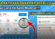 Fakta DANA PayLater dan BI Checking yang Jarang Dibahas! Begini Cara Aktivasi Limit Hingga Rp10 Juta