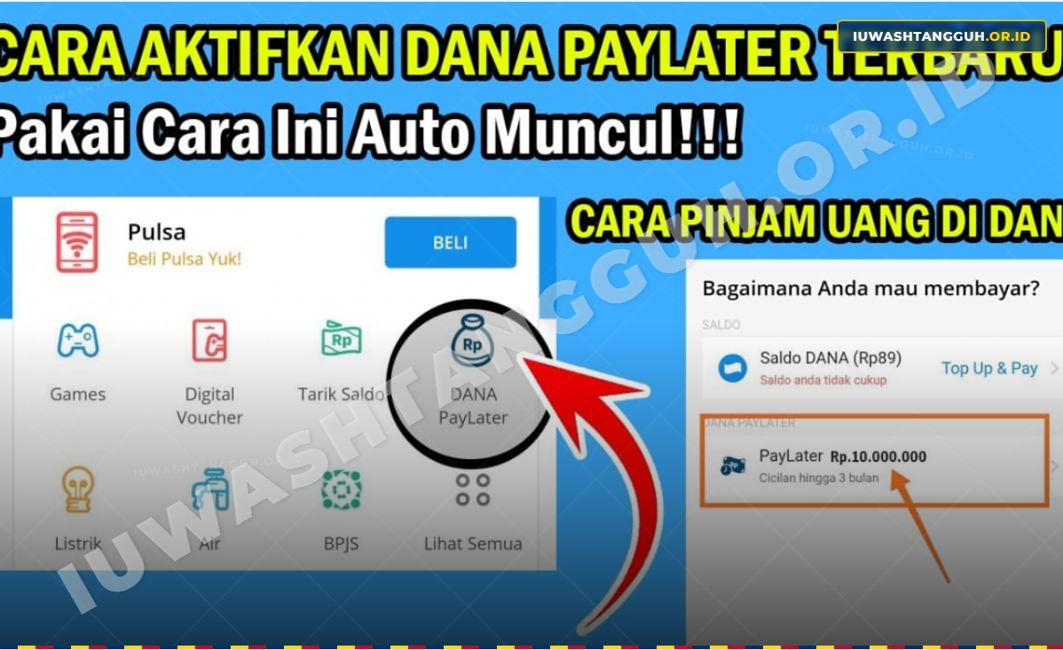 Fakta DANA PayLater dan BI Checking yang Jarang Dibahas! Begini Cara Aktivasi Limit Hingga Rp10 Juta