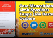Gestun Shopee PayLater ke Rekening Sendiri dan DANA, Solusi Cepat atau Masalah Baru?