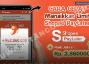 Limit SPayLater Tidak Naik-Naik? Cek Penyebab dan Solusi Resminya di 2026 Ini!