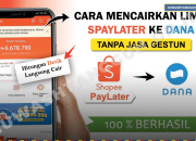 Mau Mencairkan PayLater ke DANA? Ini 3 Cara yang Paling Sering Dipakai!