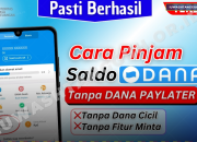 Pinjam Saldo DANA Tanpa Paylater Ternyata Bisa, Ini Cara Lengkap dan Aman!