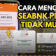 SeaBank Pinjam Tidak Muncul? Ini Cara Mengatasinya dan Langkah Pengajuan Pinjaman Rp500 Ribu!