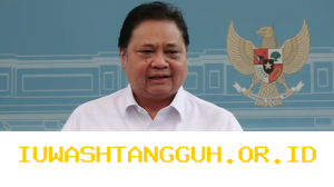 Airlangga Pastikan Rencana WFH Akan Diterapkan demi Stabilkan Defisit APBN