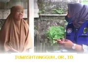 Alhamdulillah, Delapan Bantuan Sosial Cair Bersamaan Saat Ramadan dan Idul Fitri 2026, Simak Daftarnya di Sini