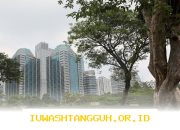 Anak Usaha Mandiri (BMRI) Raih Keuntungan Rp11,68 Triliun di Tahun 2025, Siapa yang Paling Unggul?