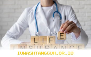 Asuransi Jiwa Waspada Risiko Gagal Bayar, Evaluasi Strategi Investasi dengan Cermat