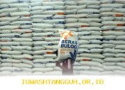 Badan Pertanahan Nasional Perkirakan Stok Beras Nasional Tembus 47,1 Juta Ton pada Akhir Tahun Ini