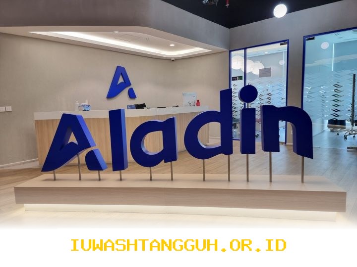 Bank Aladin Syariah Perkuat Layanan Keuangan untuk Dukung Program Mudik Gratis