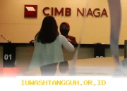 Bank CIMB Niaga (BNGA) Rencanakan Pembelian Kembali Saham Hingga Rp 480 Juta