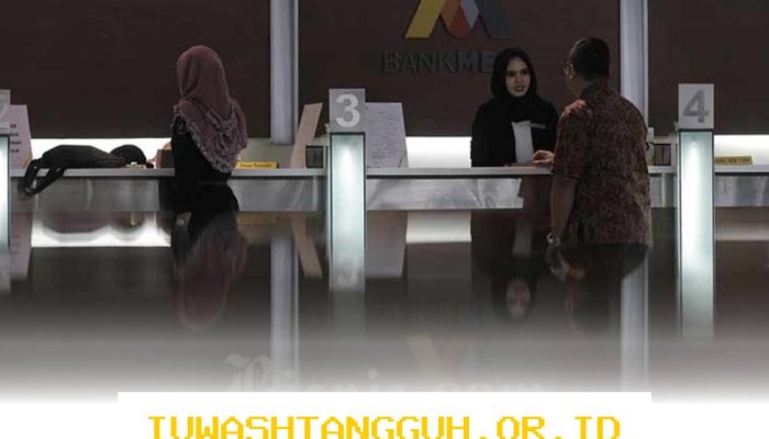 Bank MEGA Bagi Dividen Rp2 Triliun kepada Pemegang Saham, Setara 60% dari Laba Bersih Tahun 2025