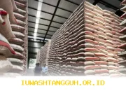 Bansos Beras 20 Kg dan Minyak Goreng 4 Liter Sudah Mengalir ke Wilayah Ini Mulai 13 Maret 2026, Yuk Cek Daerahmu
