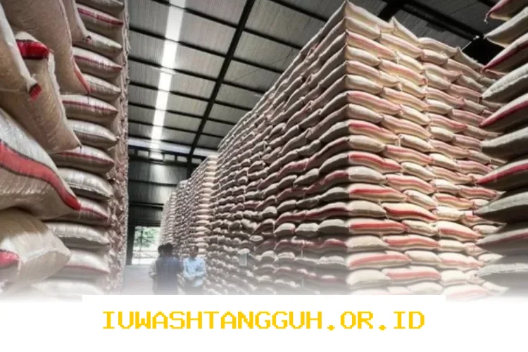 Bansos Beras 20 Kg dan Minyak Goreng 4 Liter Sudah Mengalir ke Wilayah Ini Mulai 13 Maret 2026, Yuk Cek Daerahmu