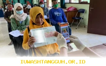 Bansos BPNT vs Bantuan Beras Minyak 2026: Pahami Perbedaan dan Tata Cara Penerimaannya Agar Tak Keliru