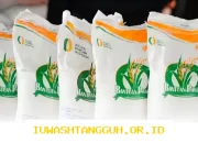 Bansos dan THR Pangan untuk 33,2 Juta KPM, PT Pos Hadirkan Layanan Antar Tunai Rp600 Ribu, Ini Rinciannya