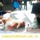 Bansos PKH BPNT Tahap 1 2026 Mulai Cair, Penerima Undangan Resmi dan Bantuan Tunai Lewat Kantor Pos Indonesia