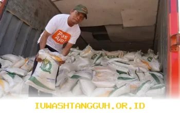 Bansos PKH dan BPNT Gelombang 2 Cair Hari Ini, Cek Jadwal Lanjutan Bantuan Beras Tahap 2