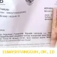 Bansos PKH dan BPNT Tahap 1 2026 Mulai Cair Lagi di Seluruh Wilayah, Simak Waktunya