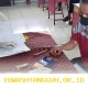 Bantuan Sosial Tahap Awal Maret 2026 Cair, PKH dan BPNT Disalurkan Secara Bertingkat untuk 35 Juta Penerima Termasuk Bantuan Beras dan Minyak
