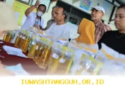 Bantuan Sosial Tahap Baru Cair, PKH Tahap Satu Telah Masuk ke Kartu Keluarga Sejahtera