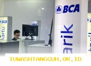 BCA Siapkan Dana Buyback Rp 5 Triliun untuk Menjaga Stabilitas Harga Saham BBCA di Pasar Modal Indonesia