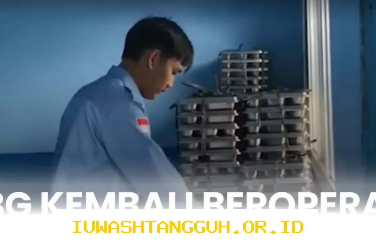 BGN Tegaskan Sanksi untuk Mitra yang Naikkan Harga MBG: Dikenai Denda dan Dihentikan Sementara Selama Seminggu Tanpa Tunjangan