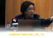 BKN Hentikan Layanan ASN Pemprov Sulbar, 95 Pejabat Nonjob Diduga Langgar Prinsip Merit